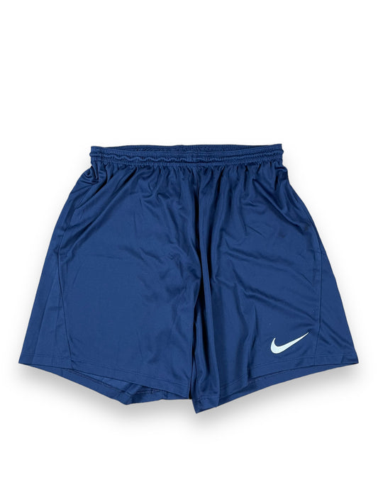 Nike Shorts (L)